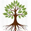 Icona di benessere olistico